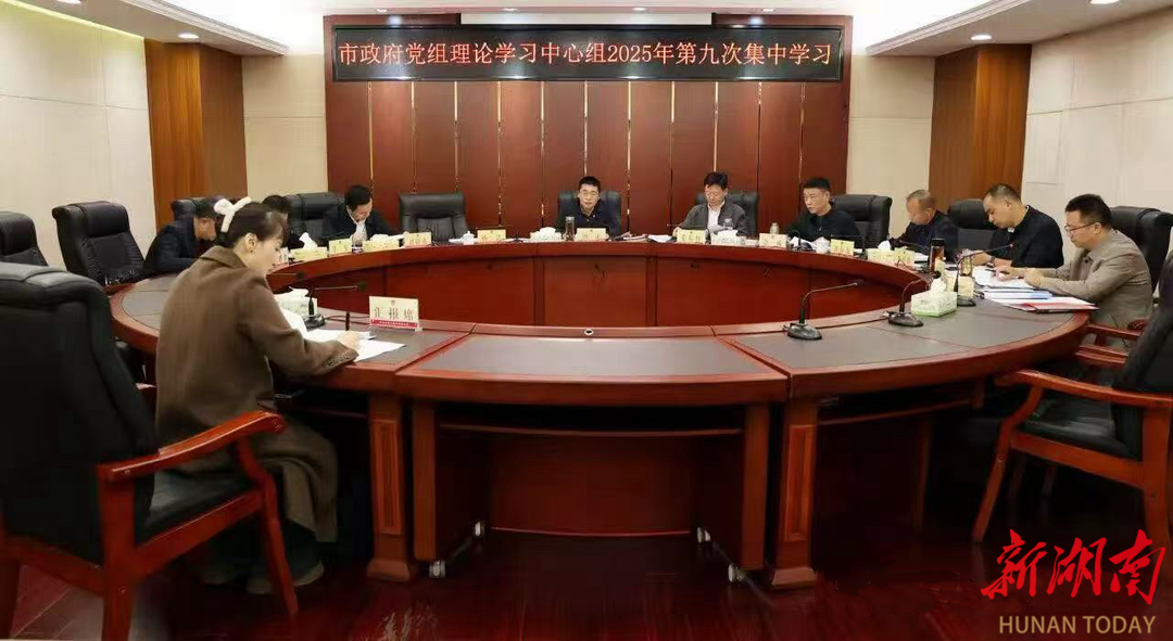 冷水江市政府专题学习习近平法治思想