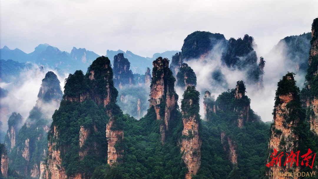 广电湘军赋能，股东福利升级！张旅集团诚邀广大股东免费畅游张家界仙境