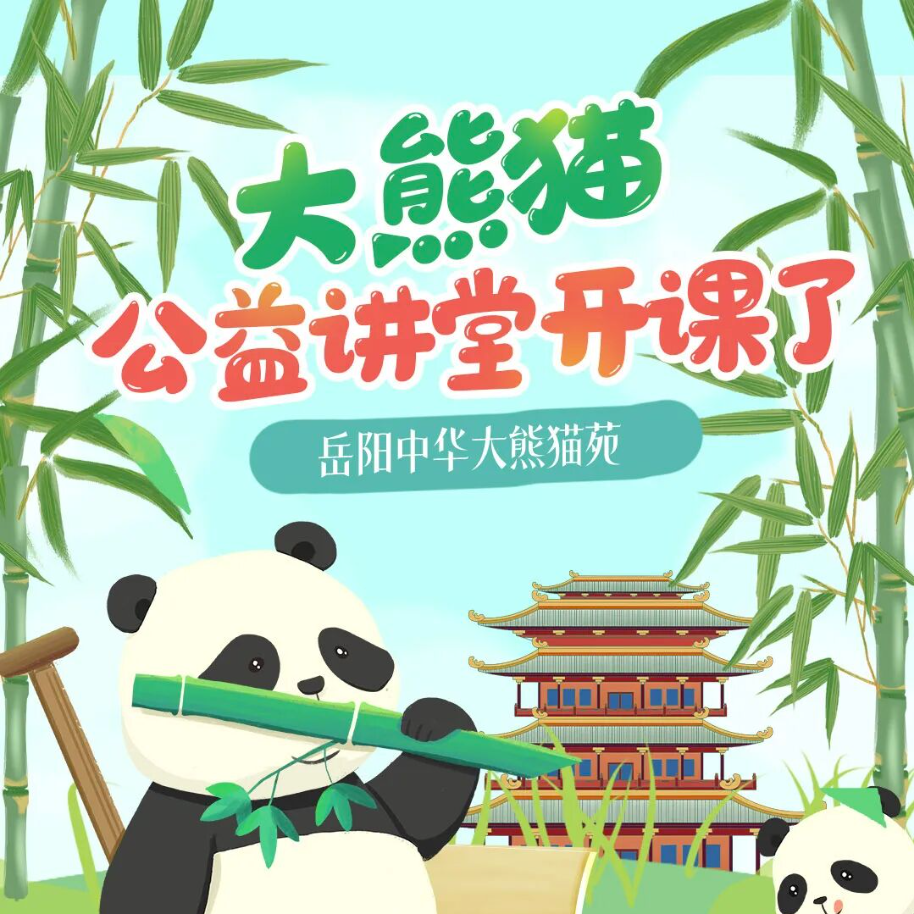  大熊猫科普课堂开课了——“益起守护国宝大熊猫”公益行动走进校园