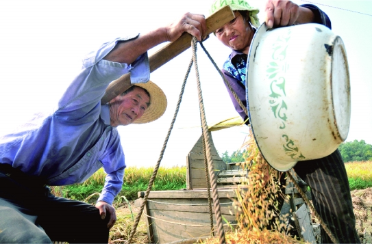 水畅其流 粮安其仓——韶山灌区冲刺“十四五”现代化改造项目建设丨湖南日报