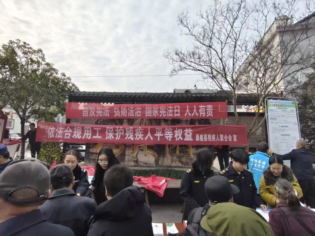 张家界市桑植县开展“宪法+惠残”融合普法宣传活动