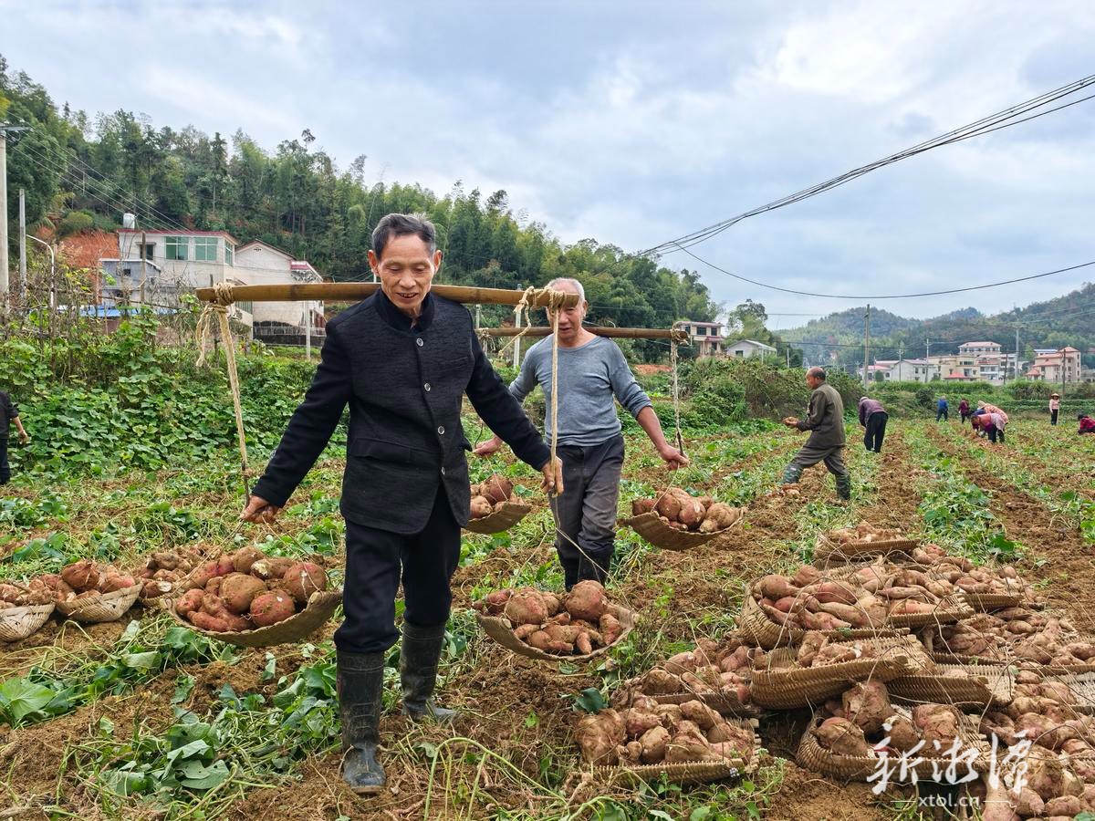 从战场到田园的奋斗之歌——记湘潭县花石镇天马山村脱贫致富带头人胡宗清