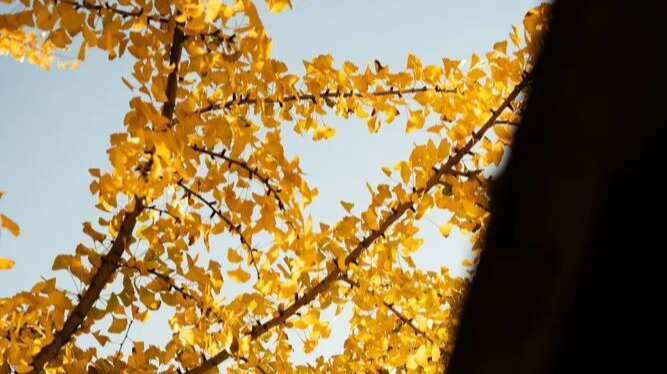 日子寻常，门前的风光不重样：记录湖南冬日限定的温柔