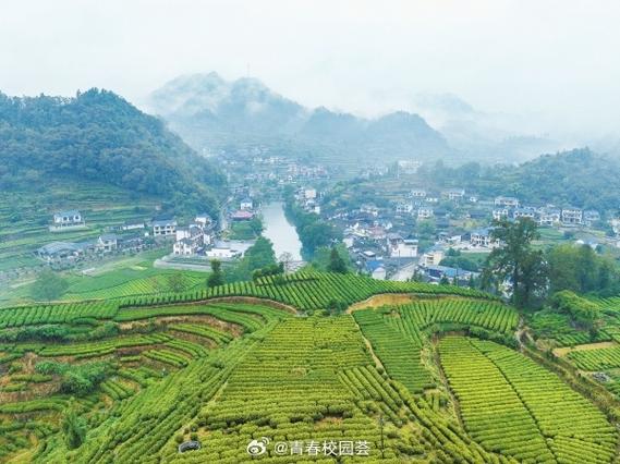 富了！湘西这个村出村“泥泞路”咋就走成了幸福“彩虹路”