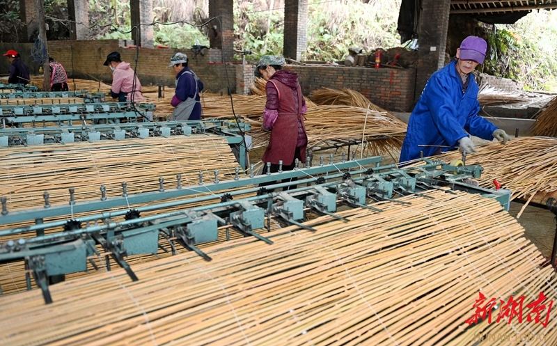 小竹子撬动大产业