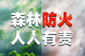双峰县举办2025年黄龙林场区域森林防灭火联合应急演练