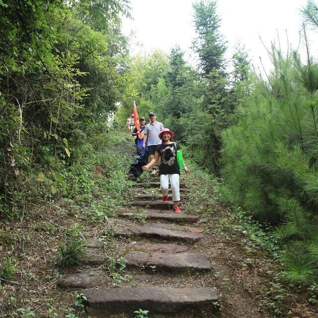 “衡”有道理(62)| 蹄印深深：湖南骡马古道的历史回响与当代叩问 