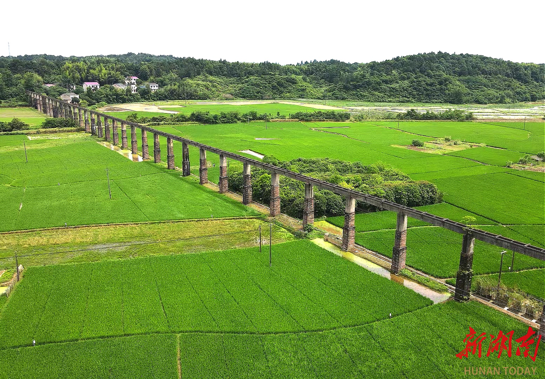 破“三无”枷锁，兴“造血”产业！湘潭县这个村书写逆袭蝶变答卷