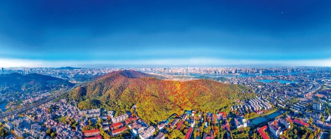 辛湘言：携手迈向更加辽阔美好的未来