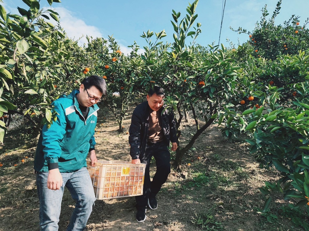 粮有贷  果有运  货有销—— 慈利邮政把致富路子送到家门口