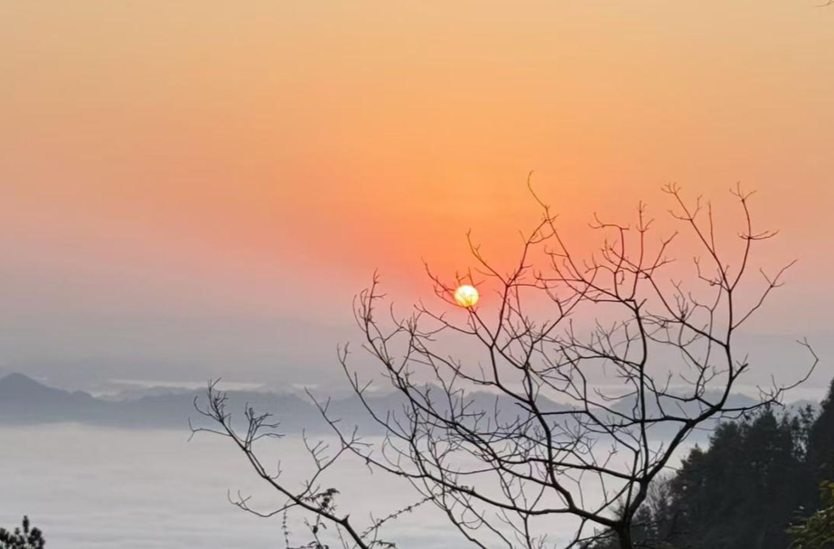 保靖县迁陵镇天塘坡片区以生态优势促振兴