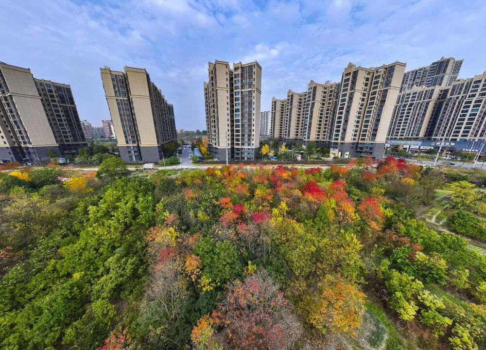 日子寻常，门前的风光不重样：记录湖南冬日限定的温柔