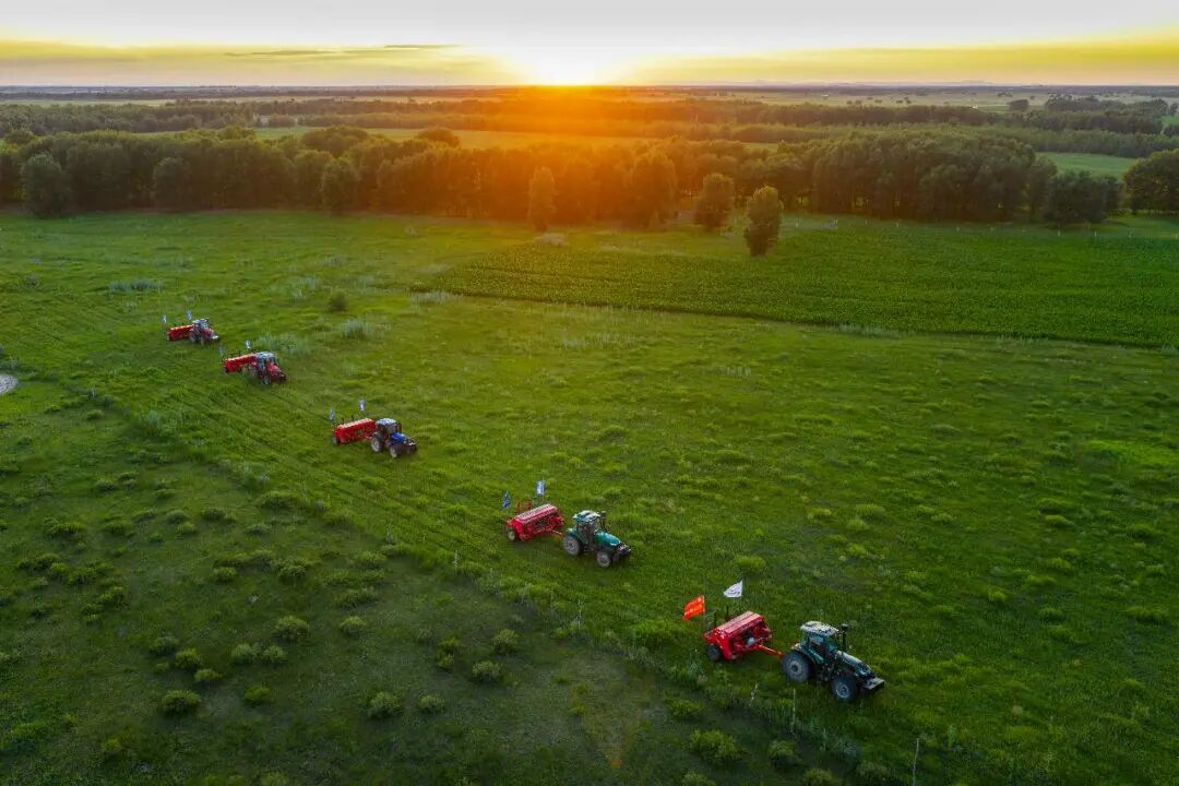 你知道我国人均有多少棵树吗