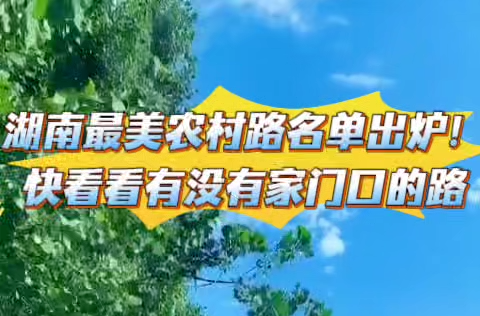 湖南最美农村路名单出炉！快看看有没有家门口的路