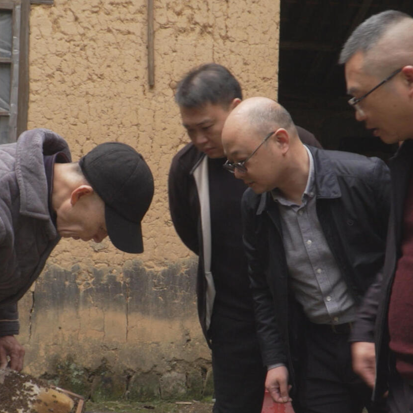 蜂蜜丰产愁销路，茶陵桃坑解民忧