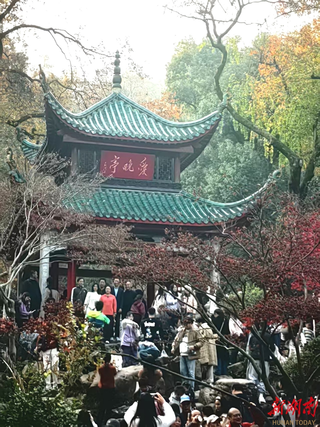 枫叶映红岳麓山 爱晚亭前醉游人