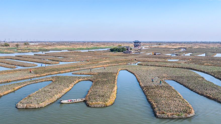“大雪”将至农事忙