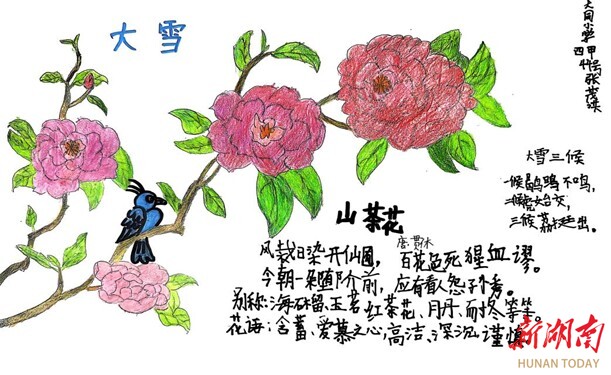 节气湖南·物候|大雪：大雪无雪 暖色三湘