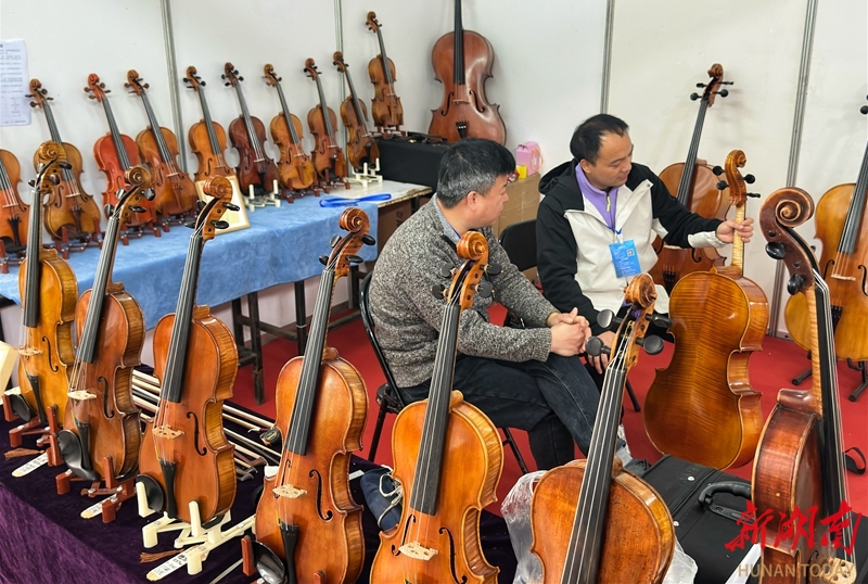 第六届中部湖南(国际)乐器展览会在长沙举行