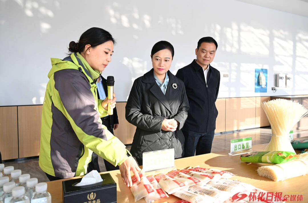 韦朝晖在中方县调研