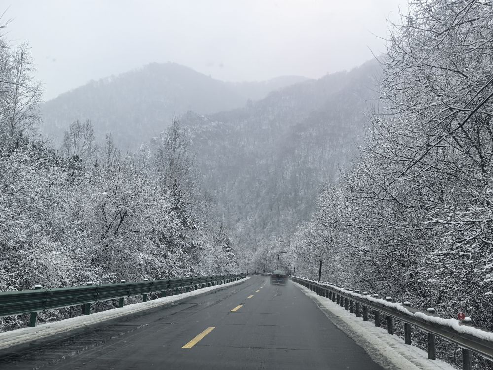 节令之美｜大雪：水墨冬韵戏雪时