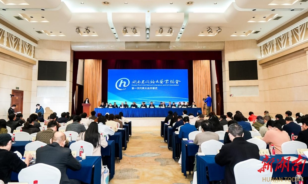 湖南省网络文艺家协会成立，舒勇当选主席