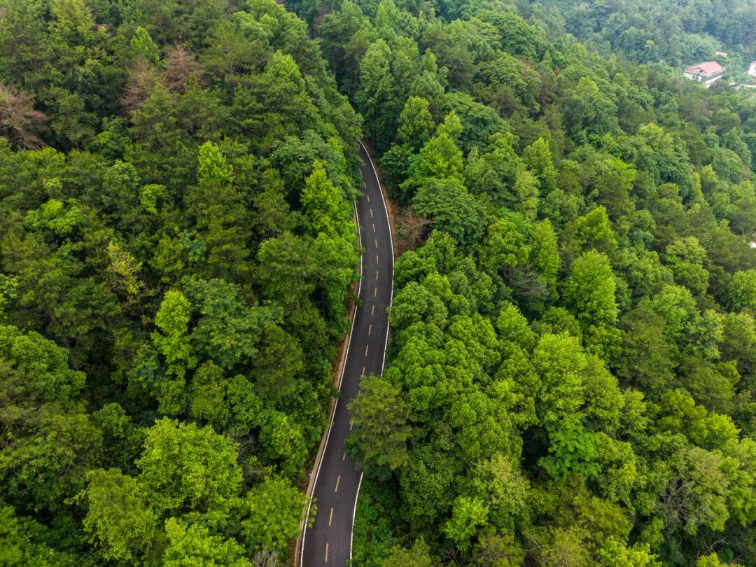 湖南交通运输丨湖南这12条路美出了名，哪条路过你家？