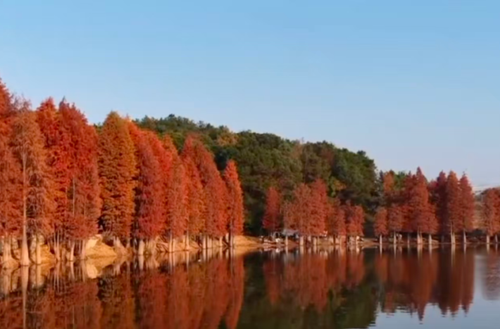 邵阳发布丨霸屏央视4分钟！邵阳这里美到出圈！