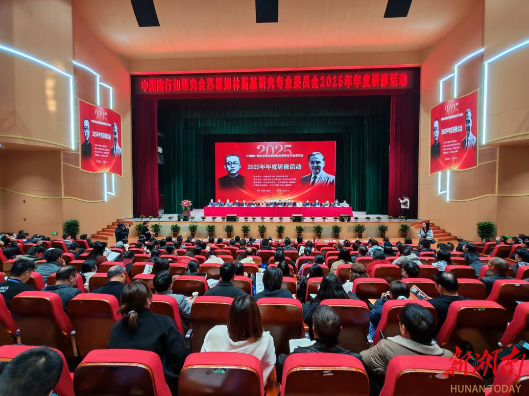 全国教育专家齐聚新化 共探AI时代育人新路径