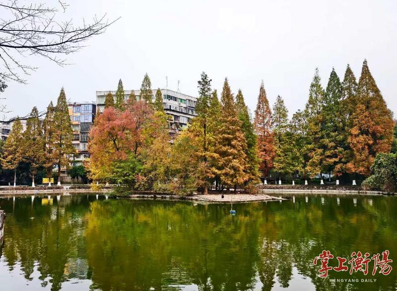 衡阳市动物园迎来“颜值巅峰”