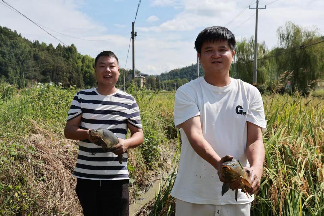 城步：产业兴 服务暖 设施优