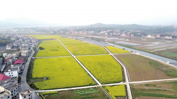 实干担当·涟源篇|沃野千里展新姿@湖南日报