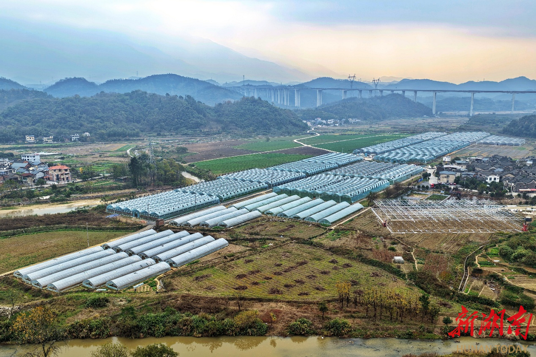 郴州市苏仙区：智慧农业织就乡村振兴新图景