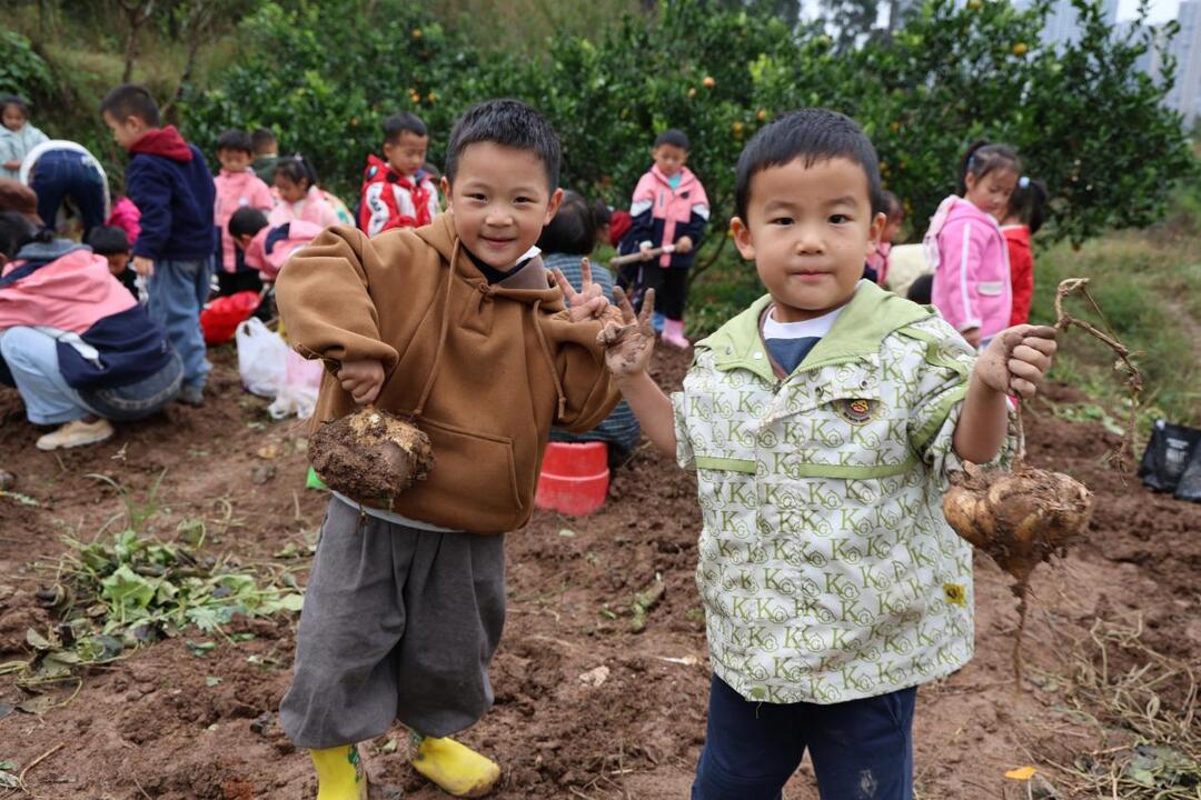 龙山县第一幼儿园：田间课堂育新苗，劳动教育促成长