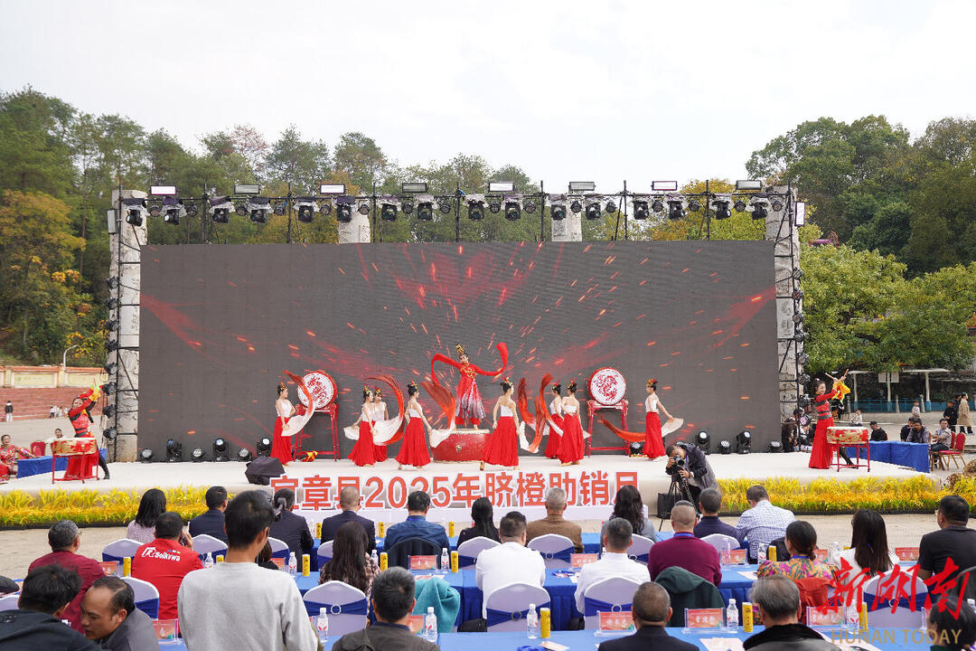 “脐”聚宜章 “橙”就未来丨宜章脐橙助销月活动启动  第一天销售脐橙9.2万吨