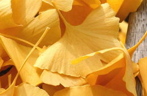 娄底文苑（257）|现代诗两首