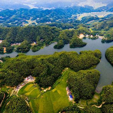 非凡“十四五”丨湘乡：精准护绿绘底色 “点绿成金”惠民生