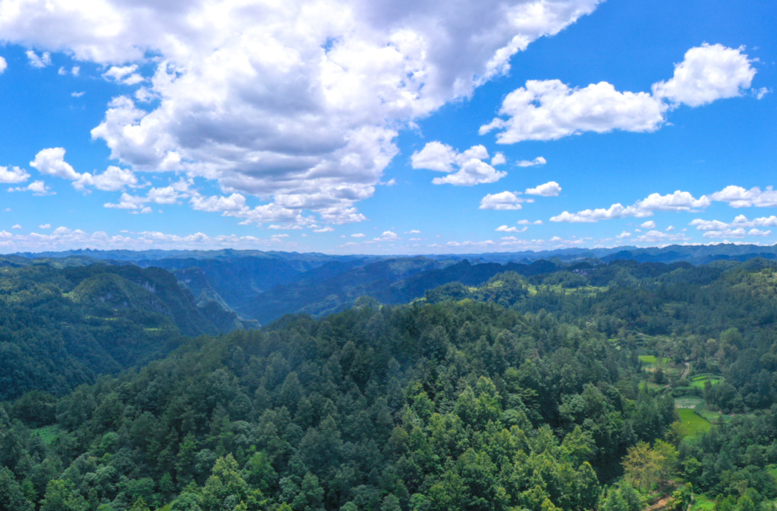 湘西州优化营商系列报道之二丨湘西花垣创新“碳票+金融”模式 点“碳”成金赋能绿色发展