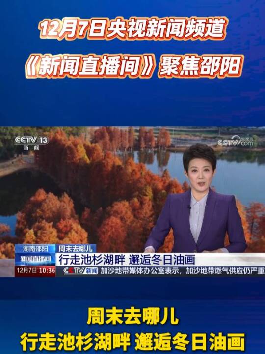 邵阳这片水杉林美出圈，上央视了！