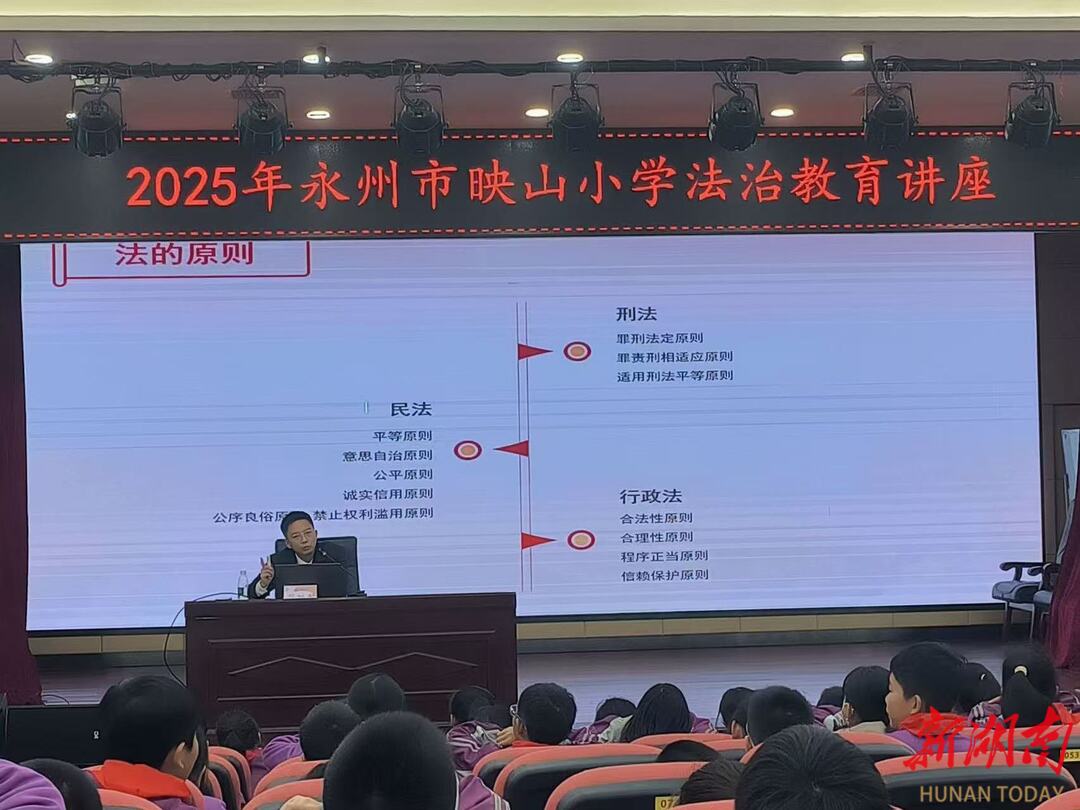 永州市映山小学开展宪法宣传周主题活动