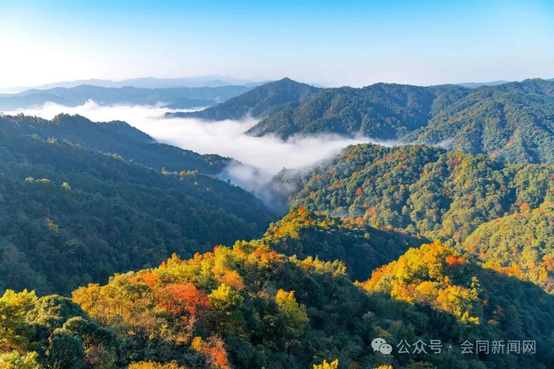 微信图片_20251205150254_71_30_副本.jpg 图片