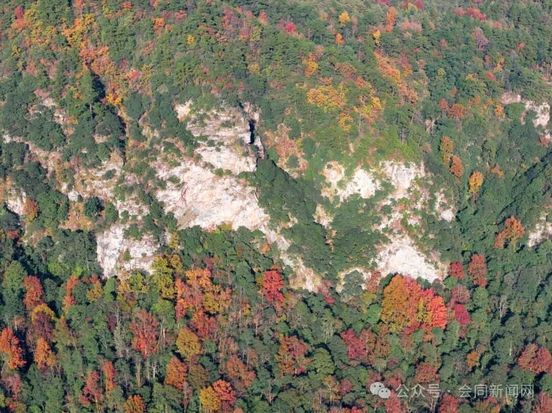 微信图片_20251205150300_73_30.jpg 图片