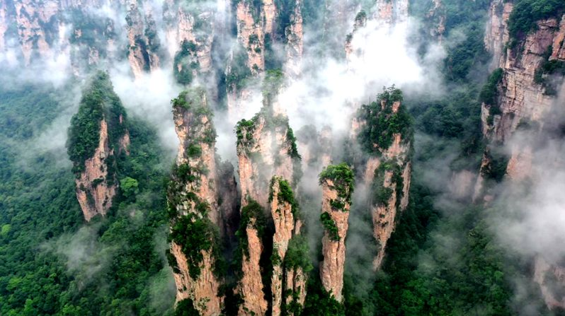 《阿凡达3：火与烬》定档12月19日，再续张家界地貌与潘多拉的奇幻联结