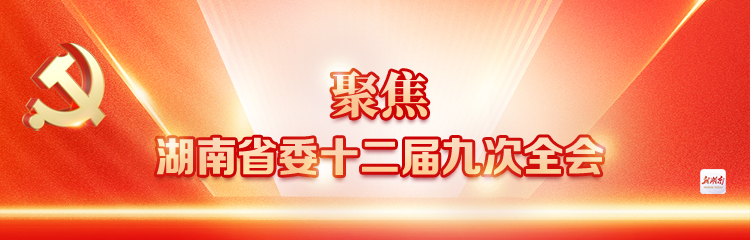 聚焦湖南省委十二届九次全会