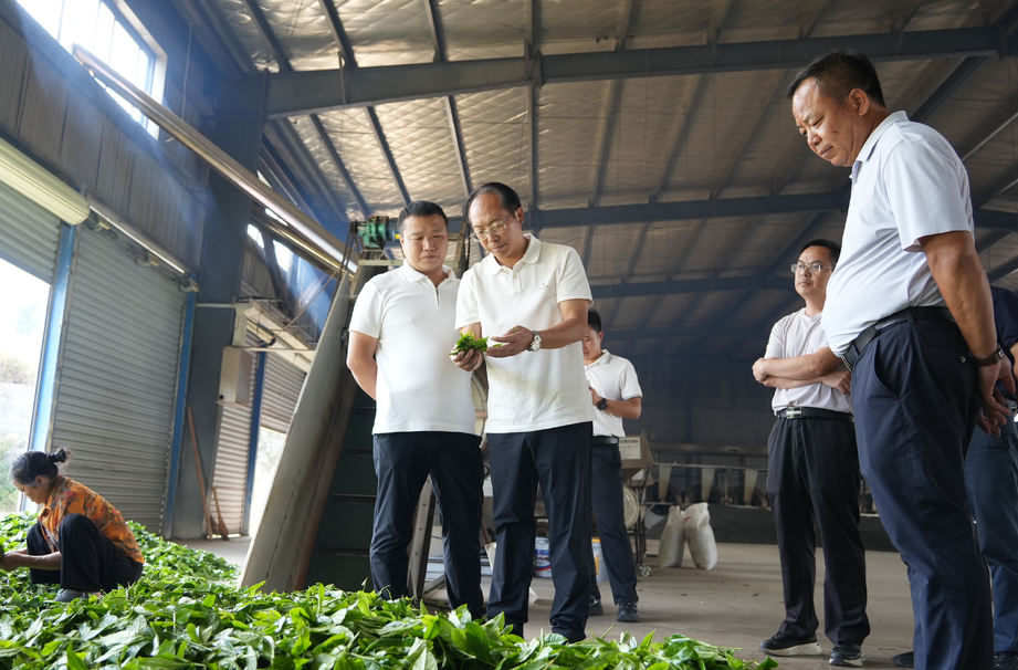 凤凰优化营商环境激活发展“一江春水”