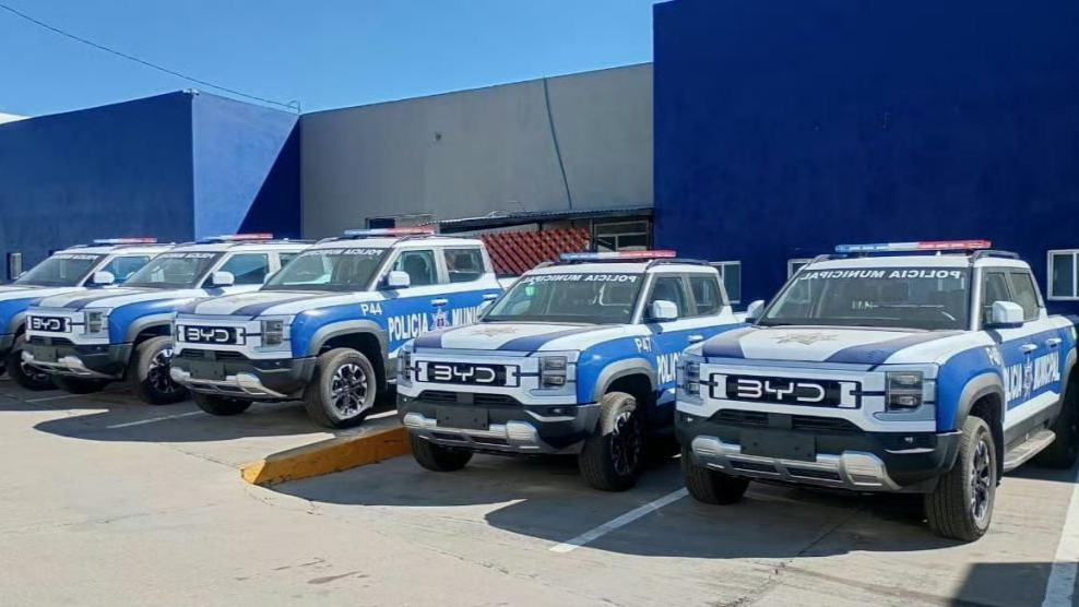 比亚迪喜提“国际编制”，海外公务车市场刮起中国风