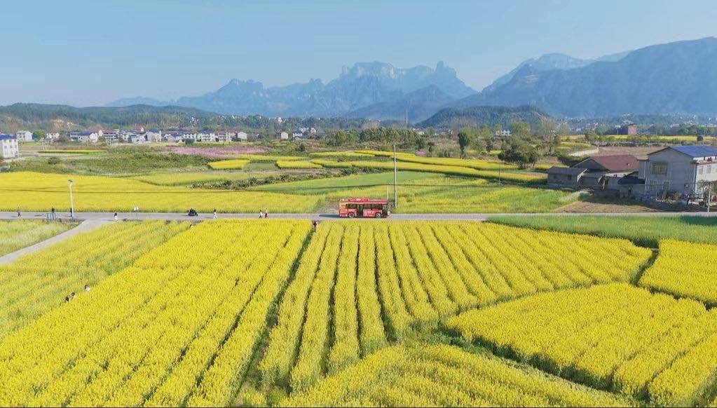 张家界公交全域覆盖，年客运量突破3000万人次