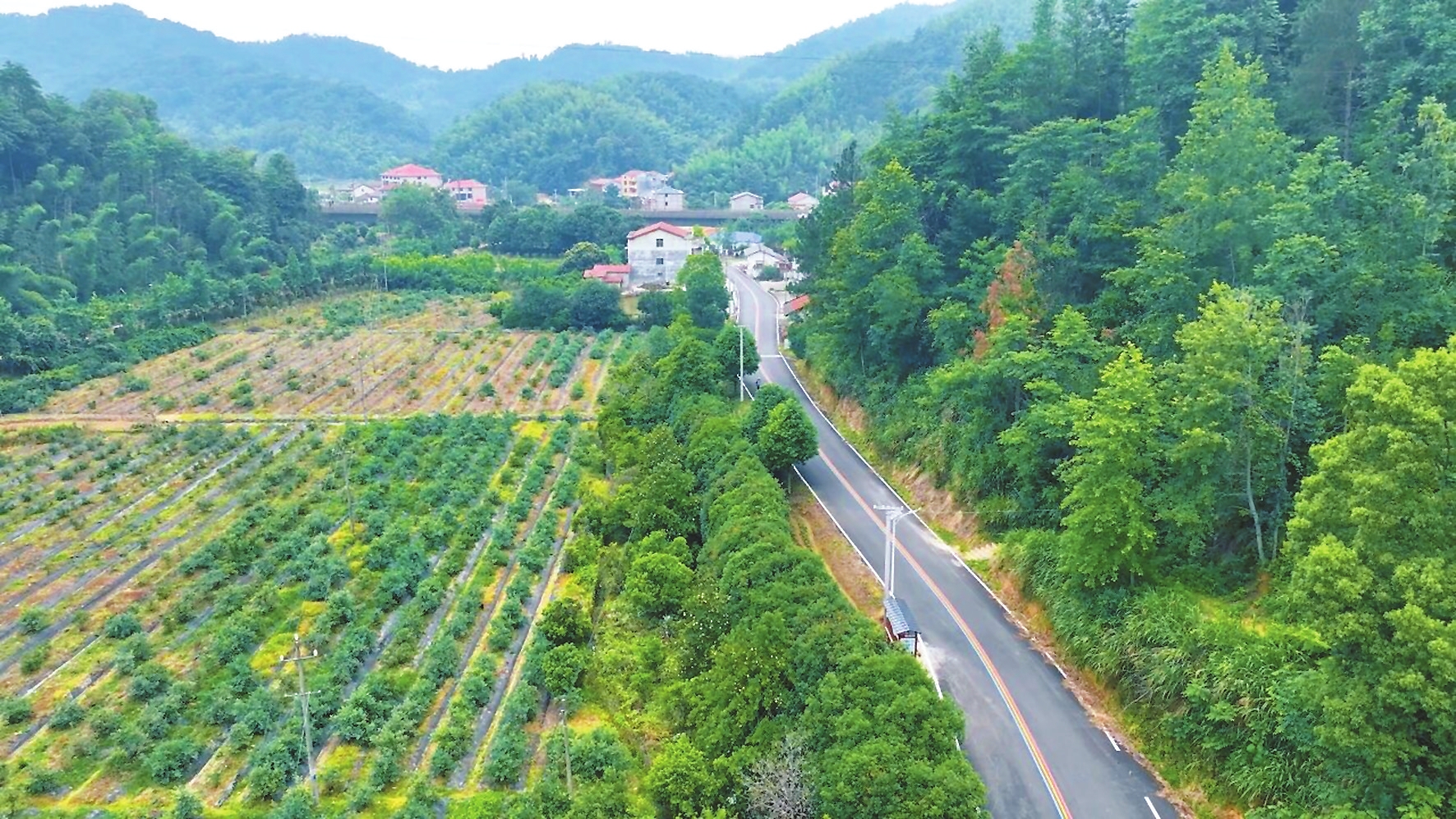 云溪双清公路上榜2025年度“湖南省最美农村路”