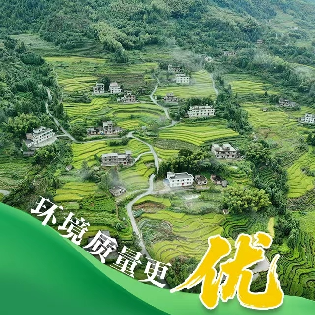 海报丨数说湖南生态环境保护五年变化