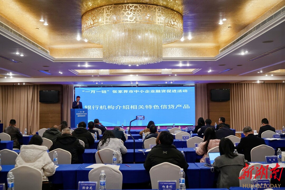 张家界举办 “一月一链” 融资促进活动 金融活水精准滴灌中小企业